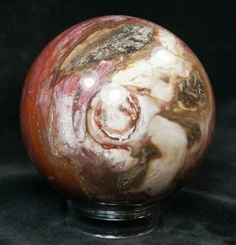 Colorful Petrified Wood Sphere #15117